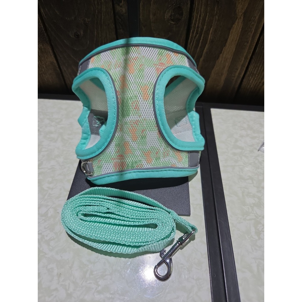 X-Small Sea Green W/ Design Dog Harness W/leash